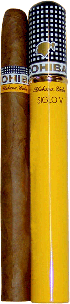 Siglo 5 Tubos Pack Of 3