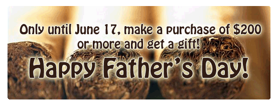 Fathers