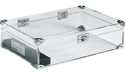 Zino Transparent Medium