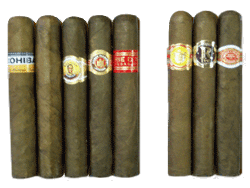 25 Robustos