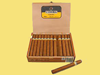 Cuban Cohiba Esplendidos Sbn B brand