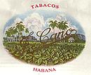 Flor De Cano