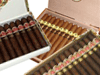 Limitada: Limitada 2007 Collection